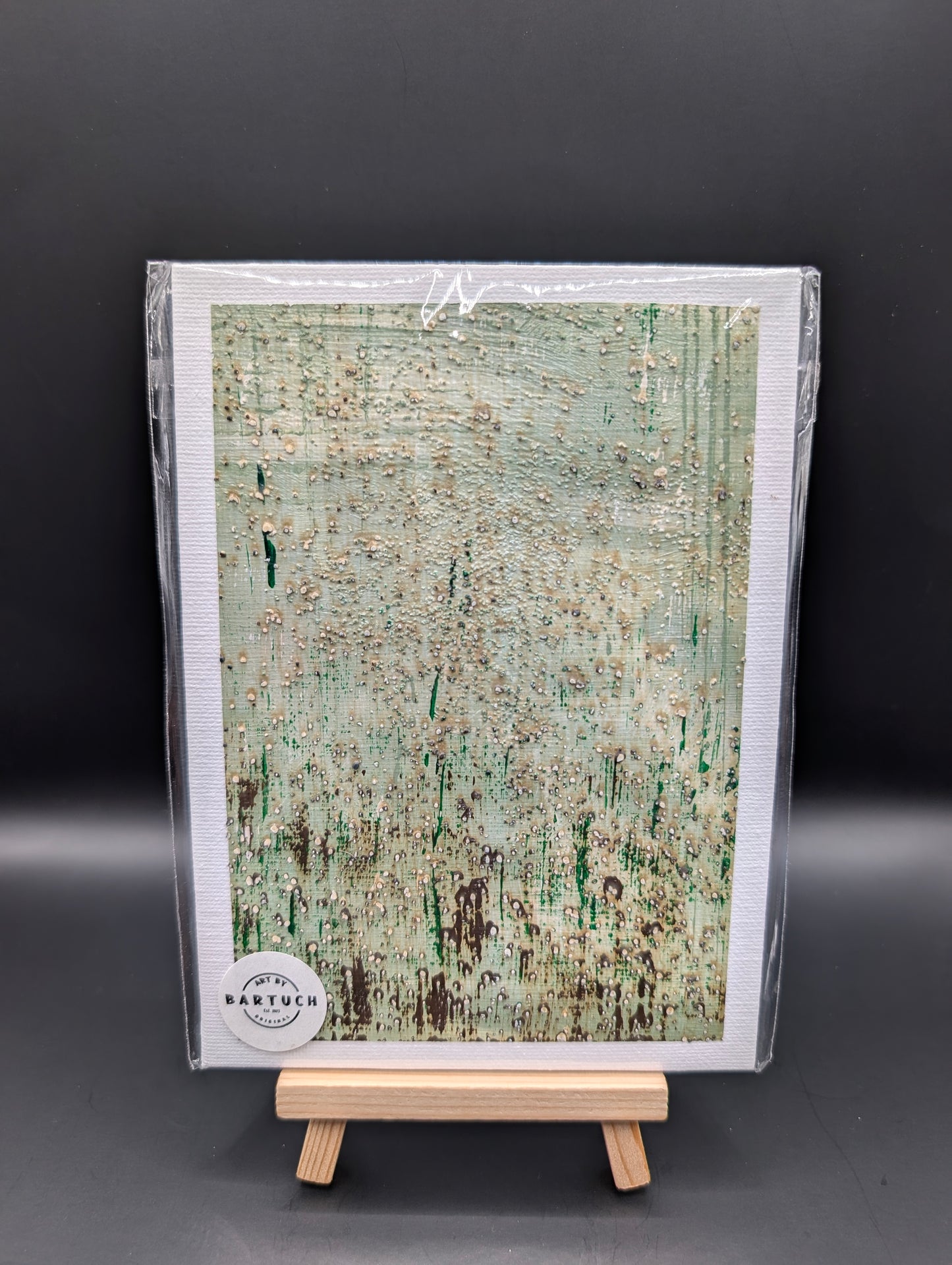 Mint Choc Chip 2