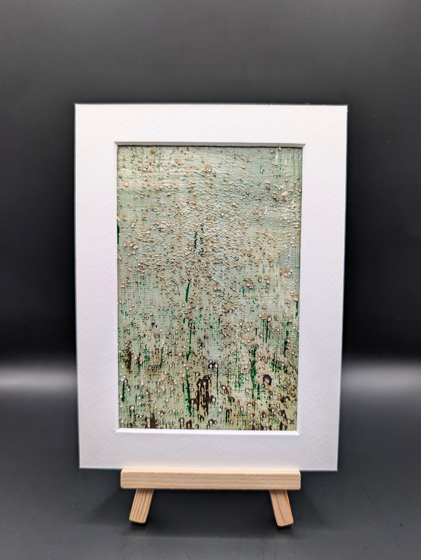 Mint Choc Chip 2