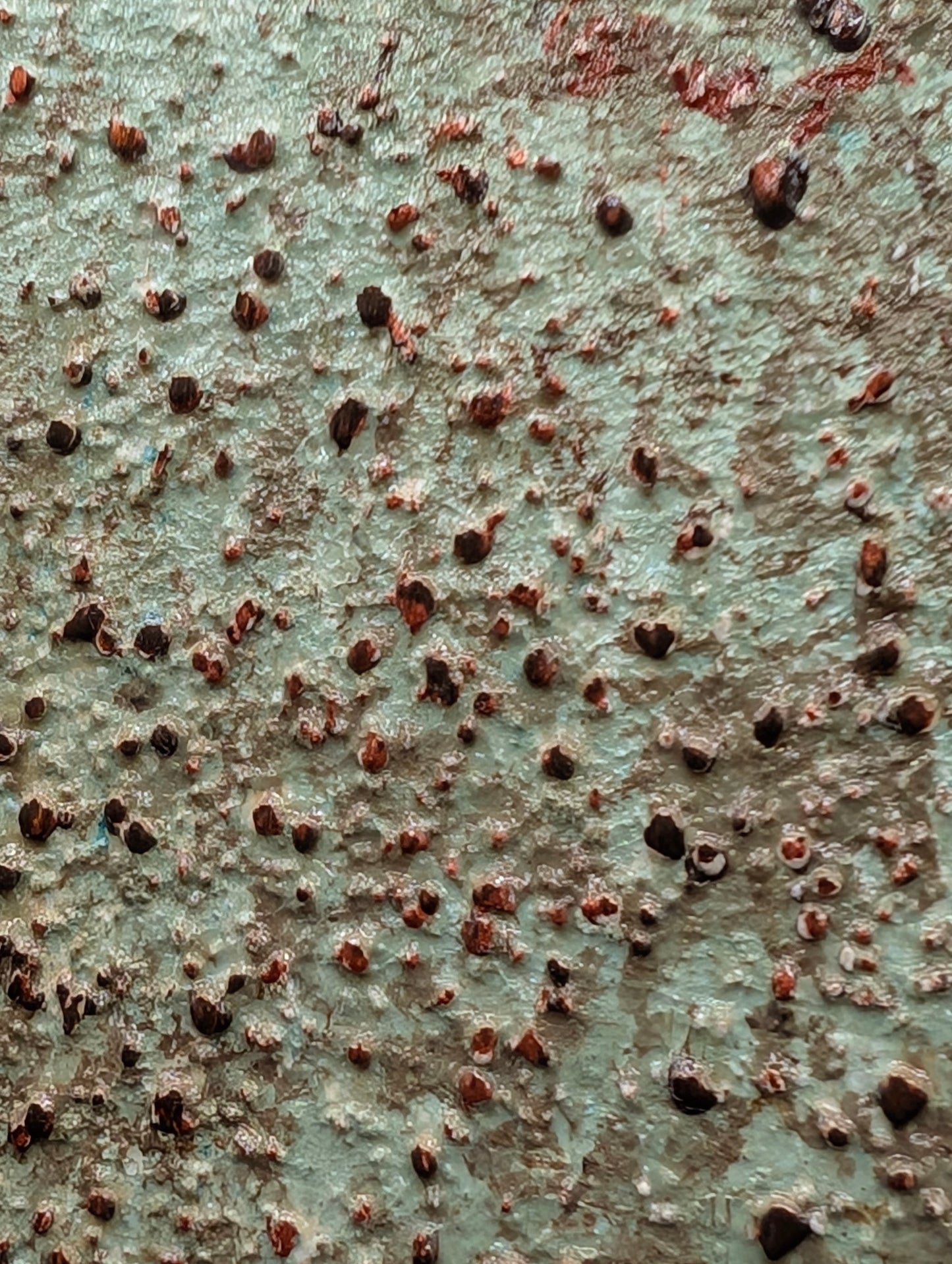 Mint Choc Chip #1