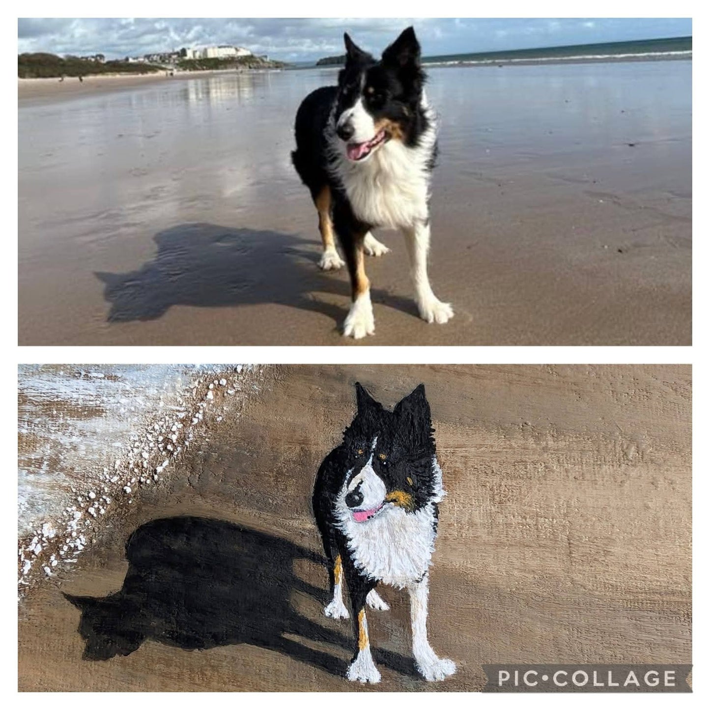 Scruffs Last Adventure