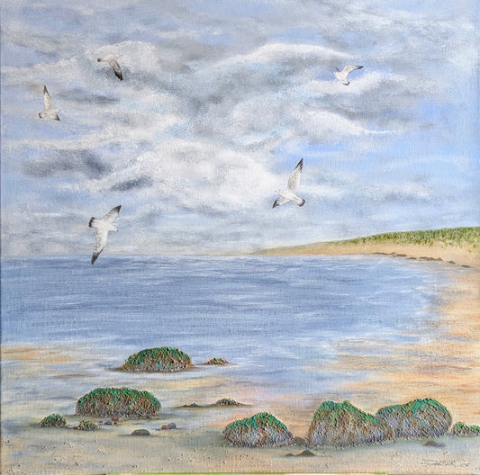Seagulls at Low Tide